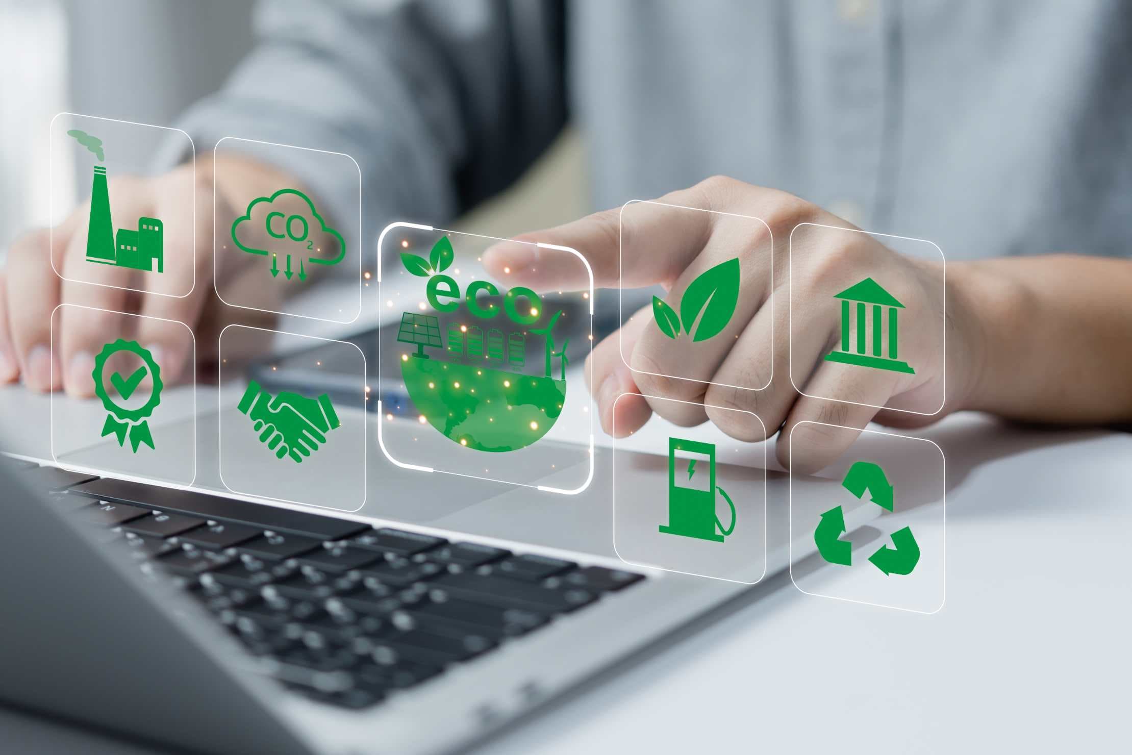 Corporate Entity Management